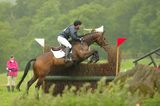 horse jumping fence 1